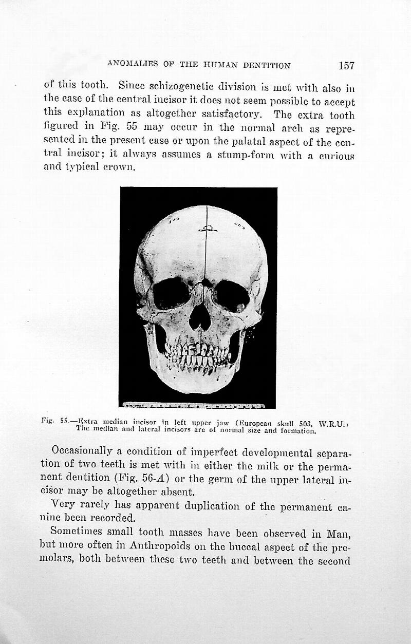 an-introduction-to-the-mammalian-dentition-with-100-illustrations