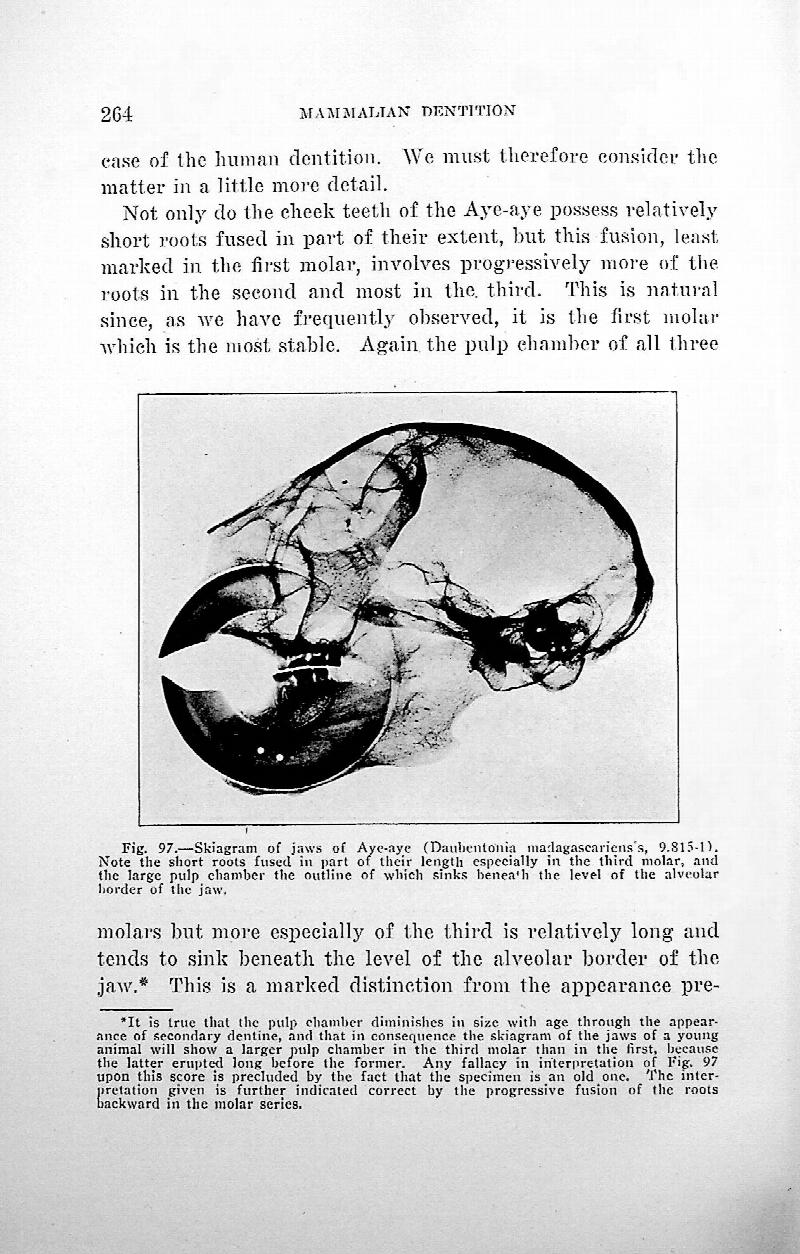 an-introduction-to-the-mammalian-dentition-with-100-illustrations